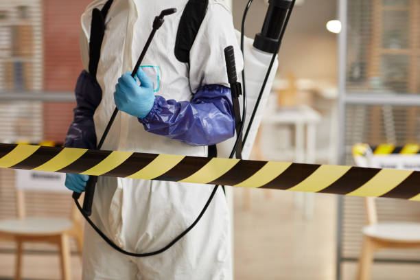 Professional Sewage Cleanup technician working in Tempe, AZ